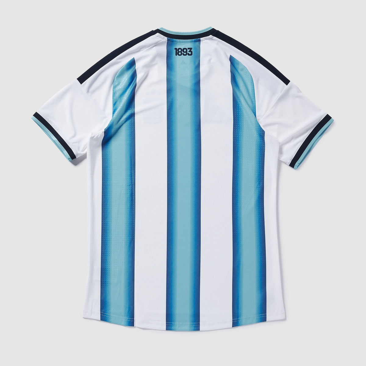 Argentina 2026 Home Jersey detail 2